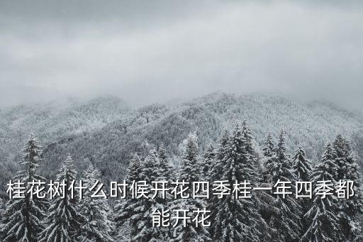 桂花樹幾月開花，桂花是什么季節(jié)開花的 桂花樹幾月份開花
