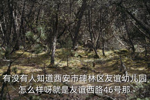 有沒有人知道西安市碑林區(qū)友誼幼兒園怎么樣呀就是友誼西路46號那
