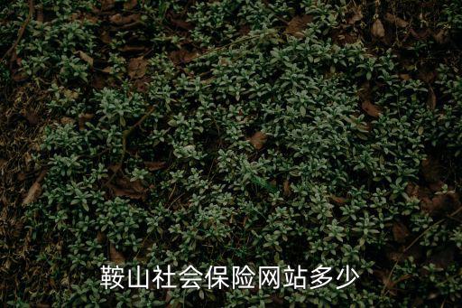鞍山社會保險網站多少