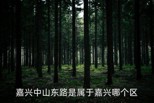 嘉興中山東路是屬于嘉興哪個區