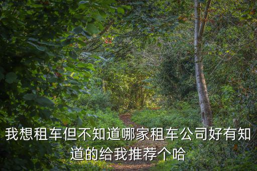 主要租車公司，世界主要的租車公司有哪