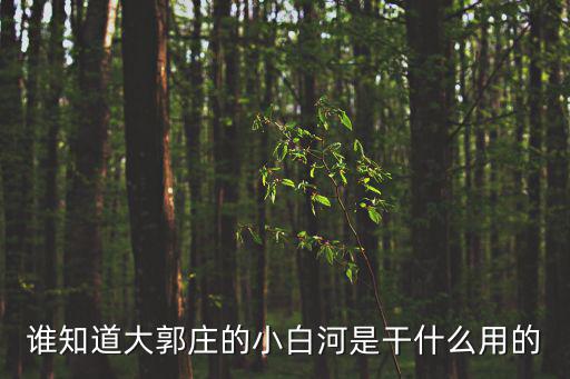 小白河，誰(shuí)知道大郭莊的小白河是干什么用的