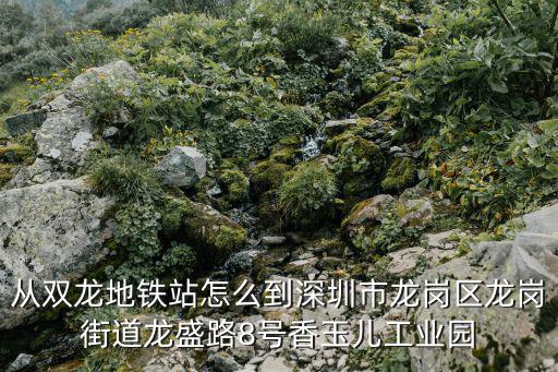 從雙龍地鐵站怎么到深圳市龍崗區(qū)龍崗街道龍盛路8號香玉兒工業(yè)園