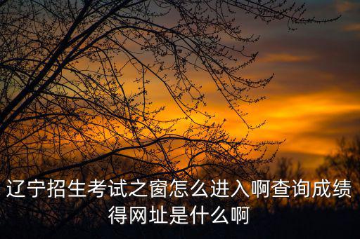 遼寧招生考試之窗怎么進入啊查詢成績得網(wǎng)址是什么啊