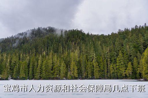 寶雞市人力資源和社會保障局，寶雞市人力資源和社會保障部位于啥地方