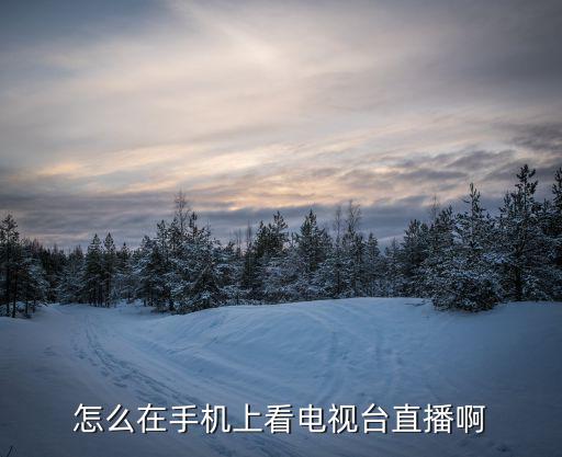 怎么在手機上看電視臺直播啊