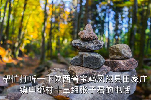 幫忙打聽一下陜西省寶雞鳳翔縣田家莊鎮申都村十三組張子君的電話