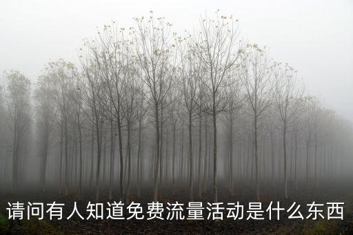 請問有人知道免費流量活動是什么東西
