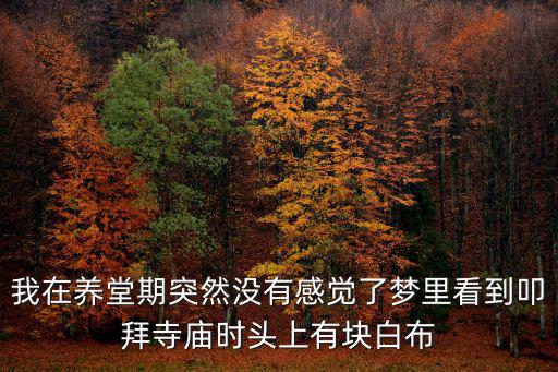 我在養堂期突然沒有感覺了夢里看到叩拜寺廟時頭上有塊白布