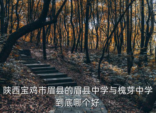陜西寶雞市眉縣的眉縣中學與槐芽中學到底哪個好