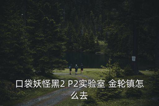 金輪鎮，神奇寶貝BW金輪鎮怎么去