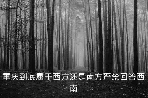 重慶西南，重慶在西南地區處于什么樣的經濟地位