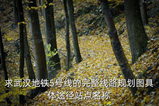 5號線線路圖，求武漢地鐵5號線的完整線路規劃圖具體途徑站點名稱