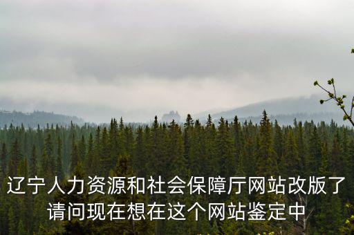 遼寧人力資源和社會保障局官網，今年遼寧省退休人員漲工資網上公布沒個工齡漲三元可是我們前十