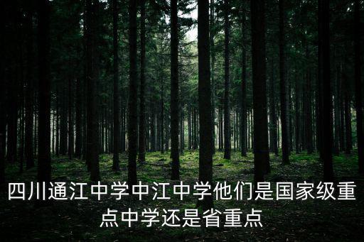 四川通江中學中江中學他們是國家級重點中學還是省重點