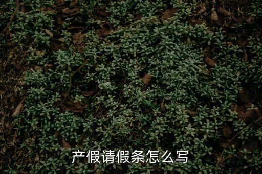 產(chǎn)假請假條怎么寫，產(chǎn)假請假條怎么寫