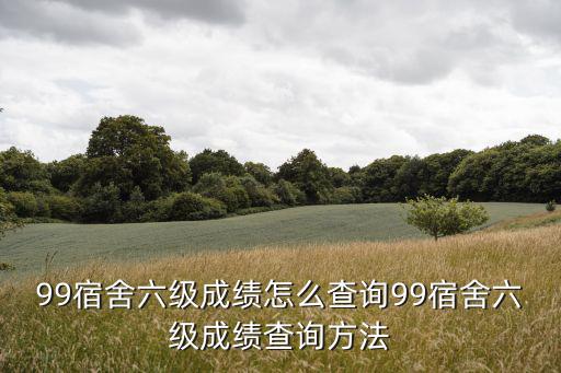 99宿舍六級成績怎么查詢99宿舍六級成績查詢方法