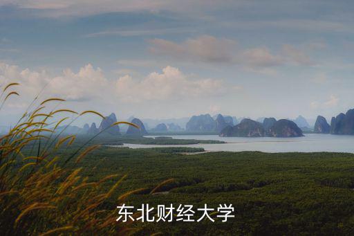 東北財經大學