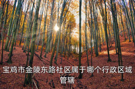 寶雞市金陵東路社區(qū)屬于哪個行政區(qū)域管轄