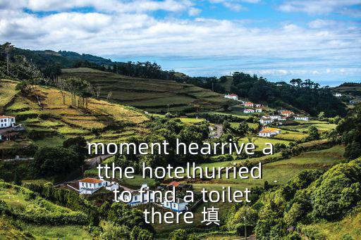 時間定格，moment hearrive atthe hotelhurried to find a toilet there 填