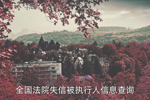 被執行人信息查詢網，哪個網站可以查到一個有沒有被法院執行過或有沒有