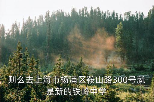 則么去上海市楊浦區(qū)鞍山路300號(hào)就是新的鐵嶺中學(xué)