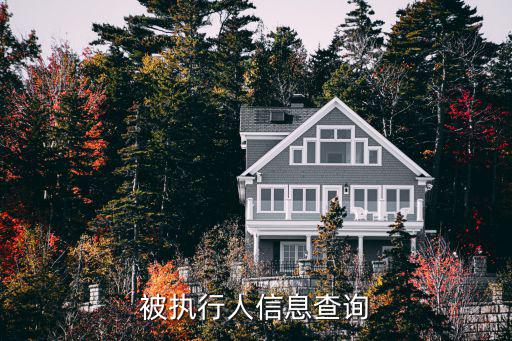 被執行人信息查詢