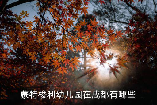 蒙特梭利幼兒園在成都有哪些
