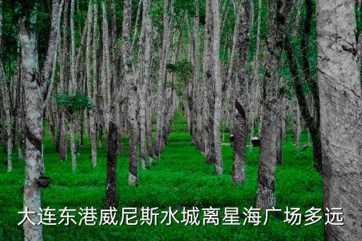 大連東港威尼斯水城離星海廣場(chǎng)多遠(yuǎn)
