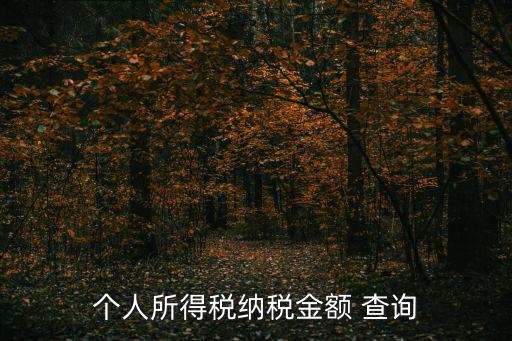 個(gè)人所得稅納稅金額 查詢