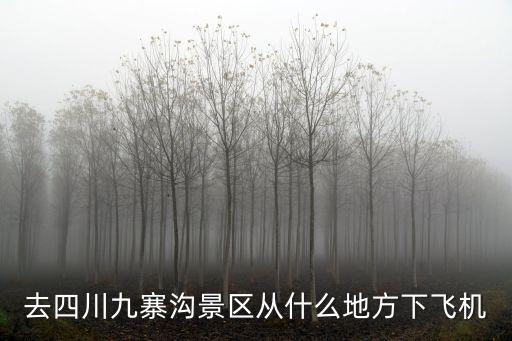 去四川九寨溝景區從什么地方下飛機