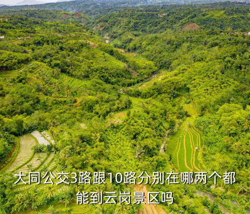 大同公交3路跟10路分別在哪兩個都能到云崗景區嗎
