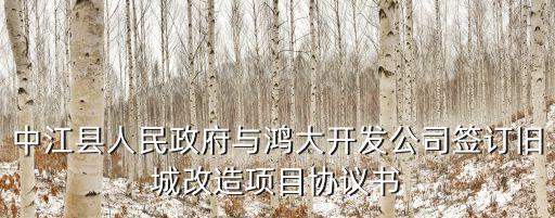 中江縣人民政府與鴻大開發公司簽訂舊城改造項目協議書