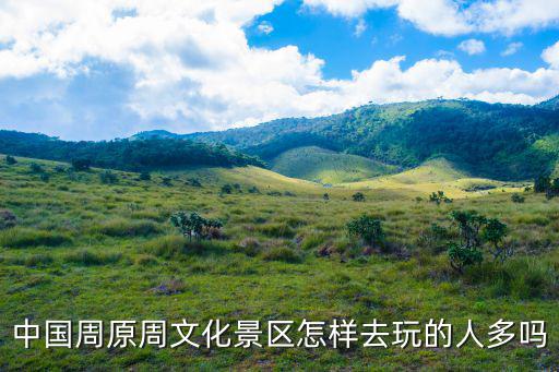 周原景區，從寶雞高鐵站怎么坐車去周原景區最直接最簡單的路程