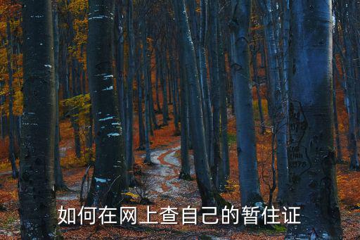 個人居住證網上查詢，如何在網上查自己的暫住證