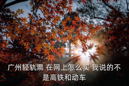 輕軌網上訂票，廣州南輕軌票怎么網上定票