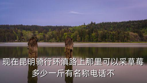 采草莓，求問云南富民可以采草莓的農(nóng)家樂