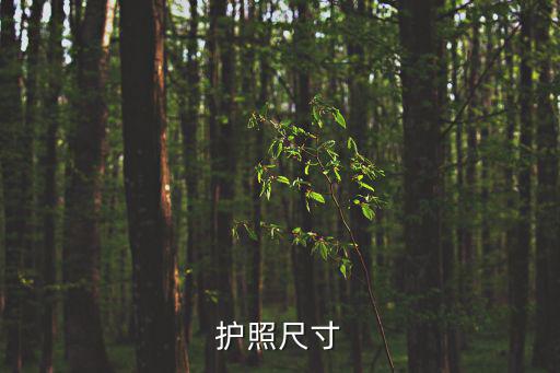 護照尺寸，護照本的尺寸