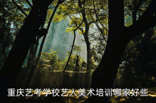 重慶藝考學校藝人美術(shù)培訓哪家好些