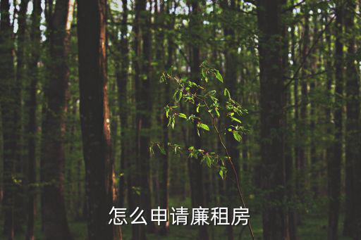 怎樣申請廉租房，申請廉租房的流程