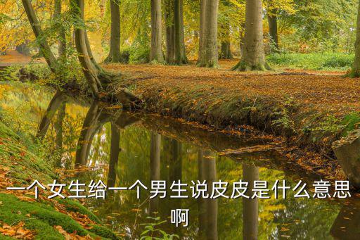 一個女生給一個男生說皮皮是什么意思啊