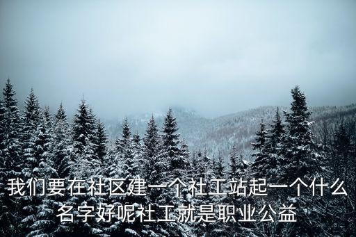 我們要在社區建一個社工站起一個什么名字好呢社工就是職業公益