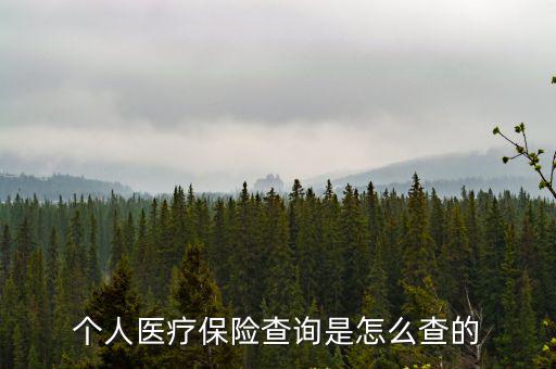 個(gè)人醫(yī)療保險(xiǎn)查詢是怎么查的