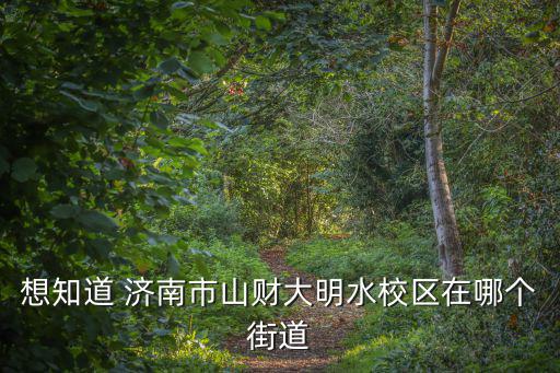 雙山街道，臺柳路175號和達中心城屬于哪個街道辦事處
