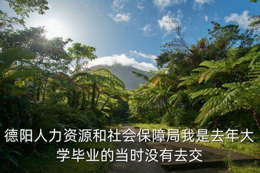 德陽(yáng)人力資源和社會(huì)保障局我是去年大學(xué)畢業(yè)的當(dāng)時(shí)沒(méi)有去交