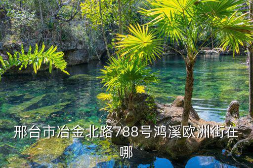 邢臺市冶金北路788號鴻溪歐洲街在哪