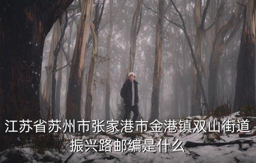 江蘇省蘇州市張家港市金港鎮雙山街道振興路郵編是什么