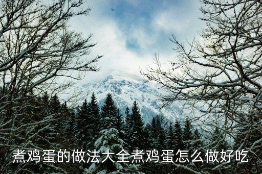 煮雞蛋的做法大全煮雞蛋怎么做好吃