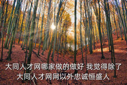 大同人才網哪家做的做好 我覺得除了大同人才網網以外忠誠恒盛人