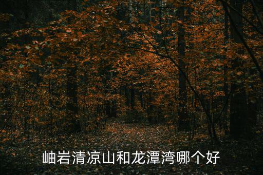 岫巖清涼山和龍潭灣哪個好